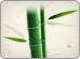 Ǯ|ֺ||Ǯ|